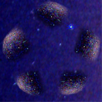 5D